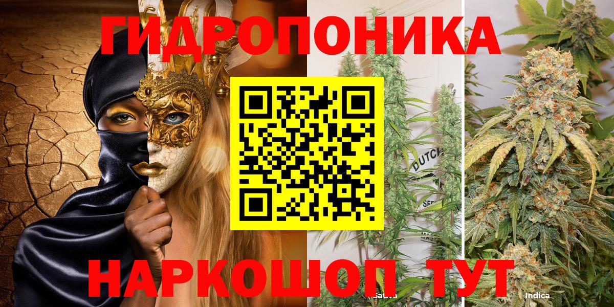 Каннабис план  Бошки марихуана сатива  Вход с VPN  Новомосковск 